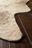 Loloi II Grand Canyon Area Rug, 5' x 6'-6", BEIGE/ASH | Amazon (US)