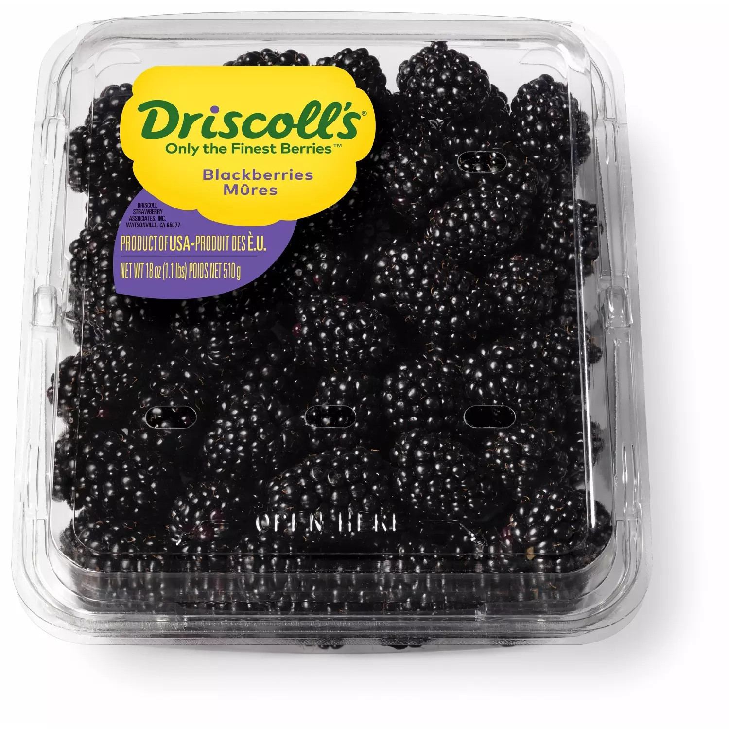 Blackberries 18 oz. | Sam's Club
