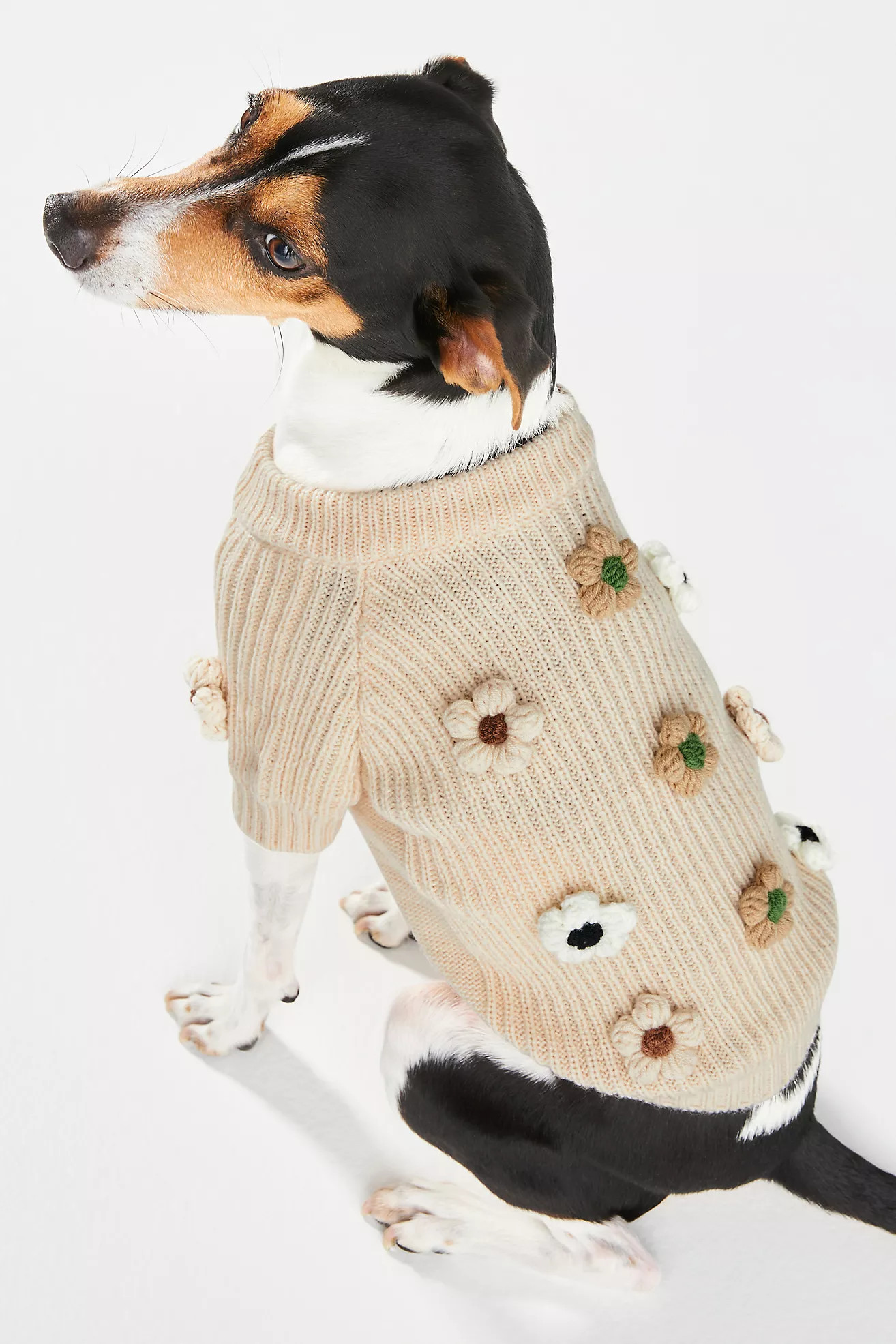 Seasonal 3D Motif Pet Sweater | Anthropologie (US)