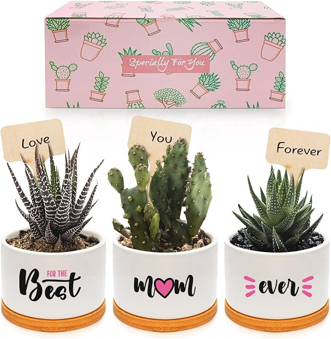 Mom Gifts for Mom from Daughter Son, Best Mom Ever Gifts Succulent Plant Pots with Boxed, Mothers... | Amazon (US)
