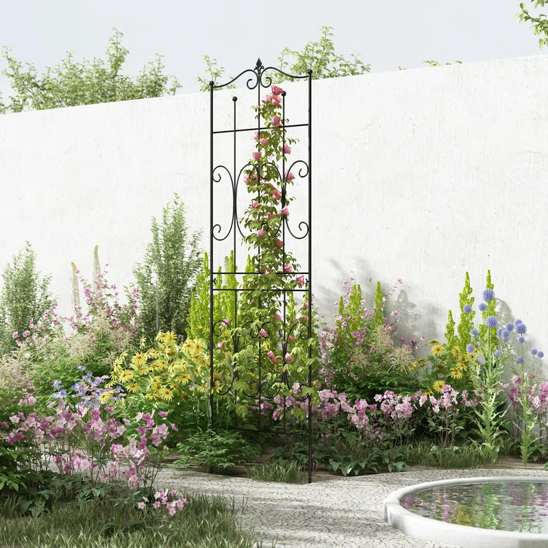 Charlton Home® Rustproof Sturdy Black Iron Trellis Plants Support Metal Trellis | Wayfair | Wayfair North America