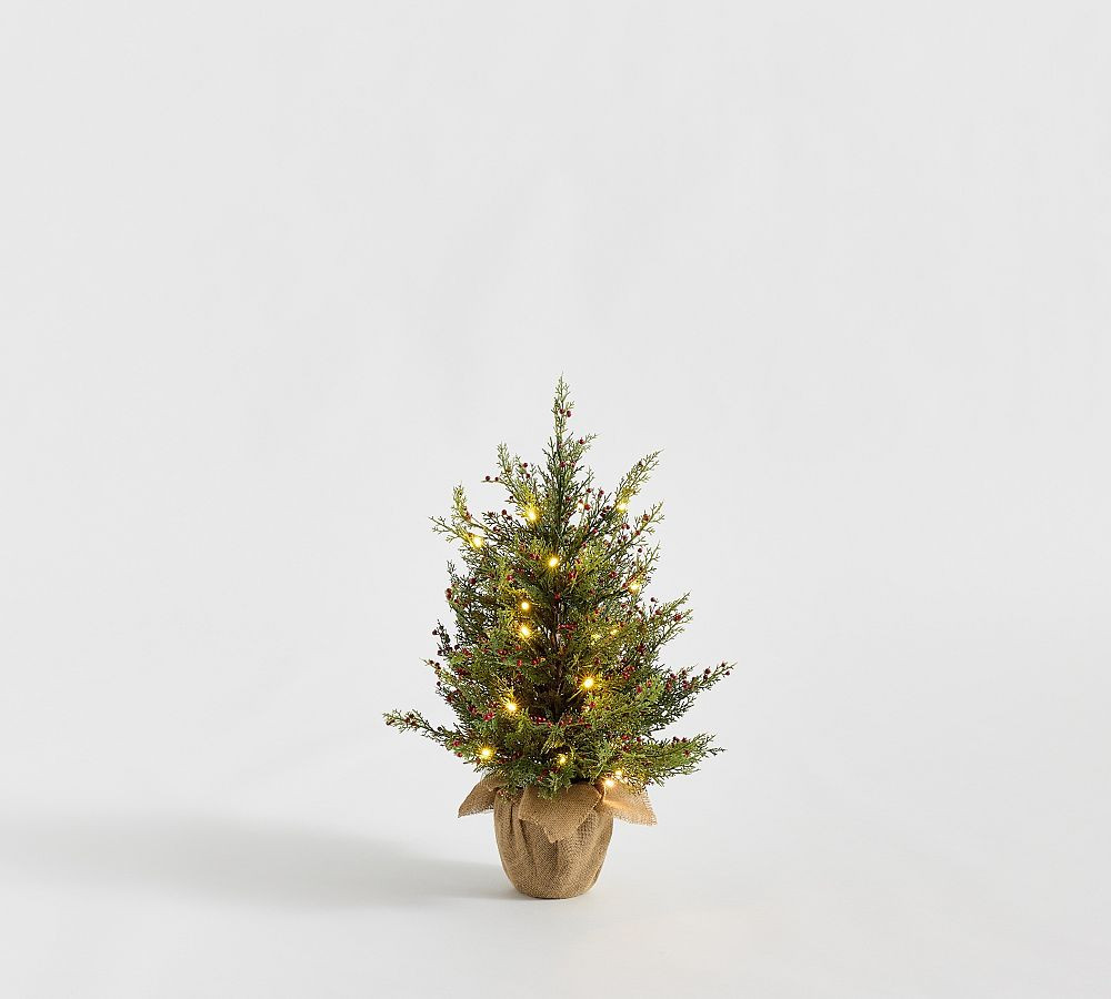 Faux Lit Cedar Berry Pine Tree | Pottery Barn (US)