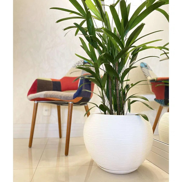 Florence Polyethylene Resin Pot Planter | Wayfair North America