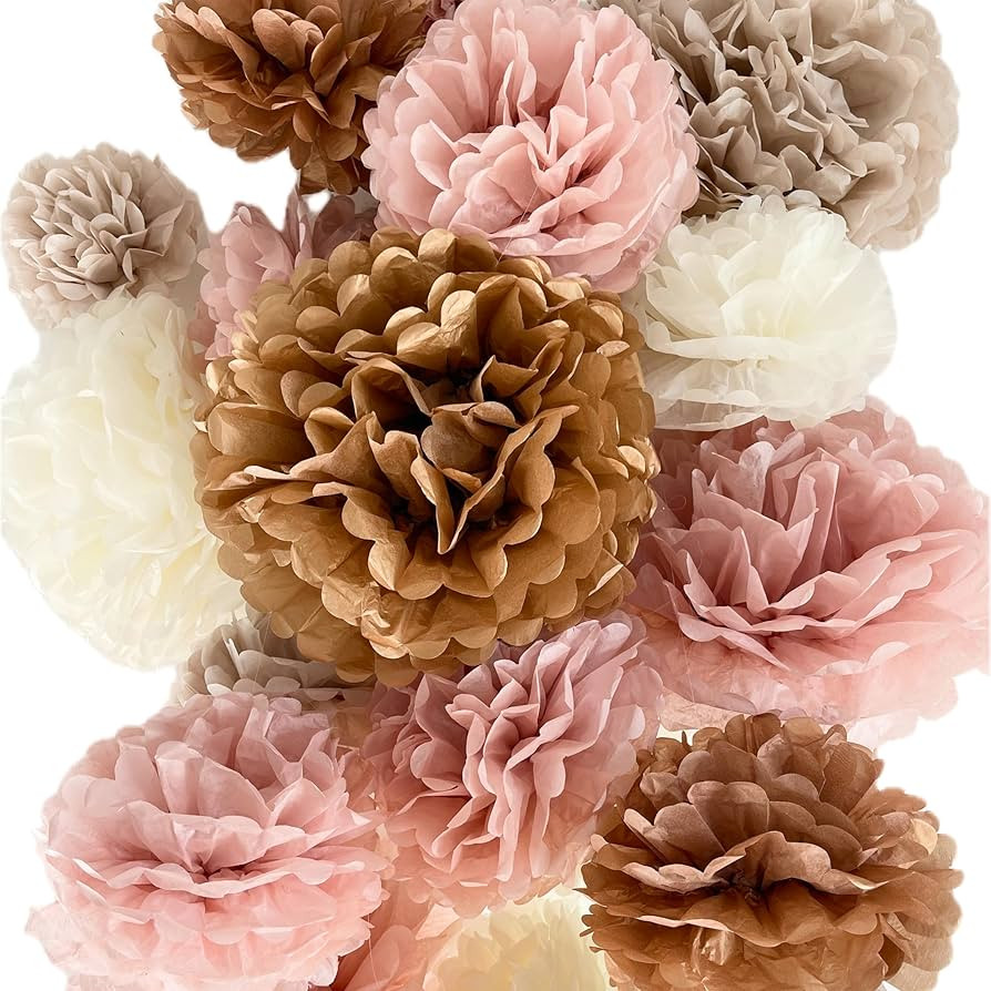 Vidal Crafts 20 Pcs Party Tissue Paper Pom Poms Set - Blush Pink Tissue Paper Flowers Decorations... | Amazon (US)