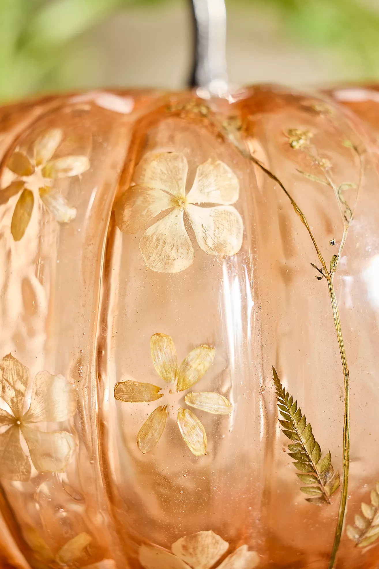 Pressed Floral Glass Pumpkin, Extra Large | Anthropologie (US)