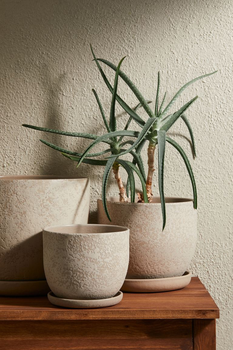 Terracotta bloempot en schotel - Wit - HOME | H&M NL | H&M (DE, AT, CH, NL, FI)