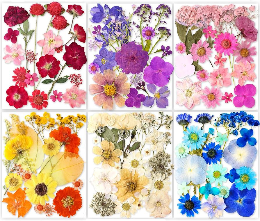 221PCS Real Nature Dried Pressed Flowers for Resin Craft, Dry Pressing Floral with Butterfly Tran... | Amazon (US)