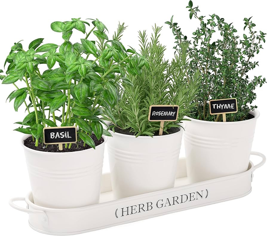 PERFNIQUE Indoor Herb Garden, Herb Garden Planter for Indoor/Outdoor, Farmhouse Plant Pots, Windo... | Amazon (US)