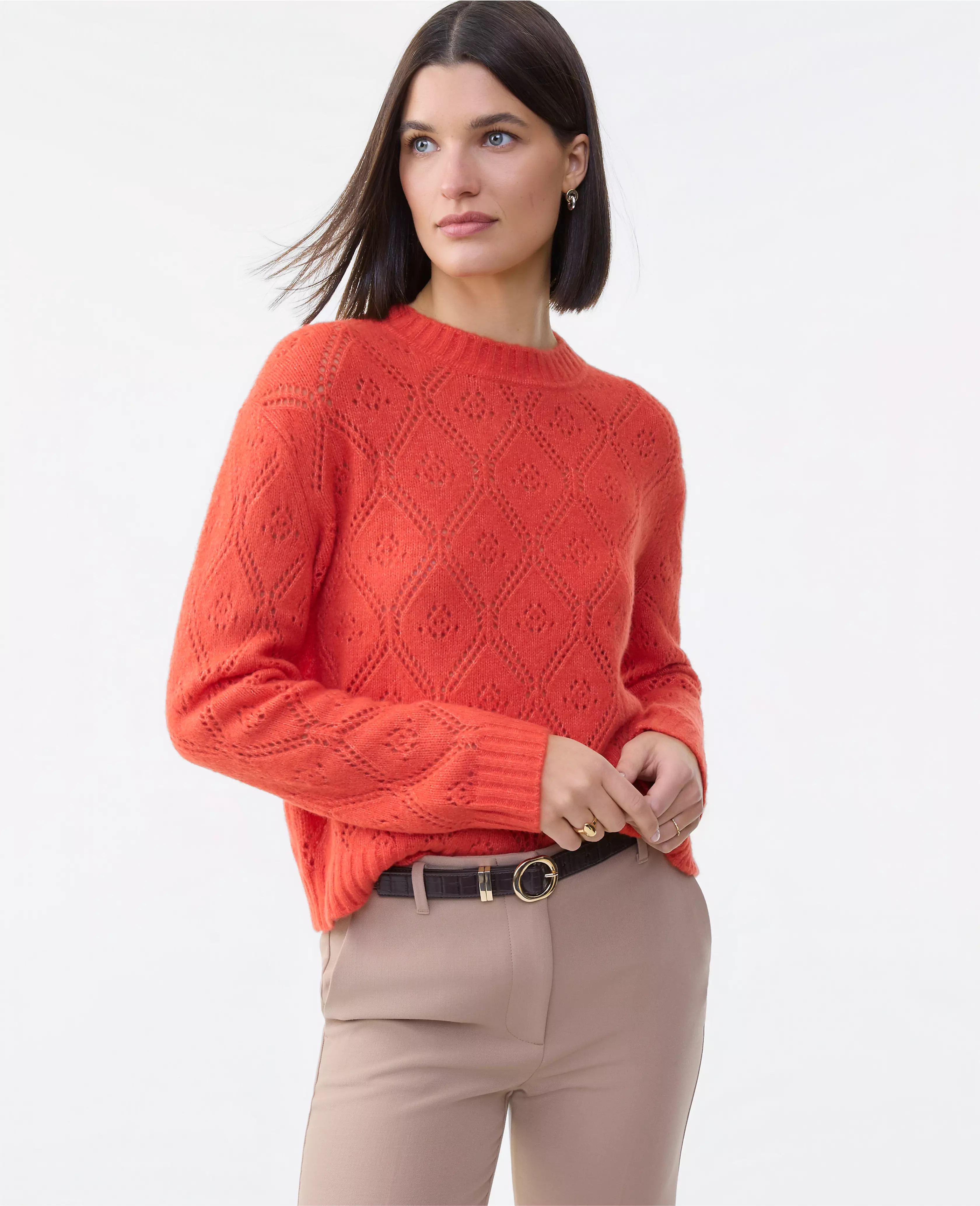 Pointelle Crew Neck Sweater | Ann Taylor