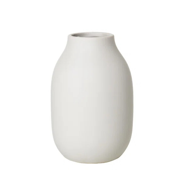 Colora Porcelain Table Vase | Wayfair North America