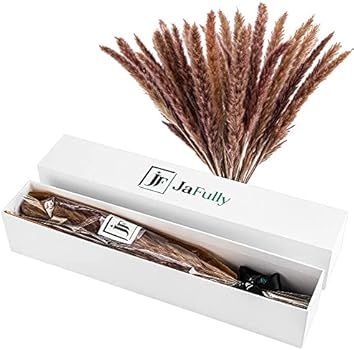 Pampas Grass | JaFully 30 pcs Natural Dried Brown Pompas Floral for Home Decor | Bundle of 30 Dried  | Amazon (US)