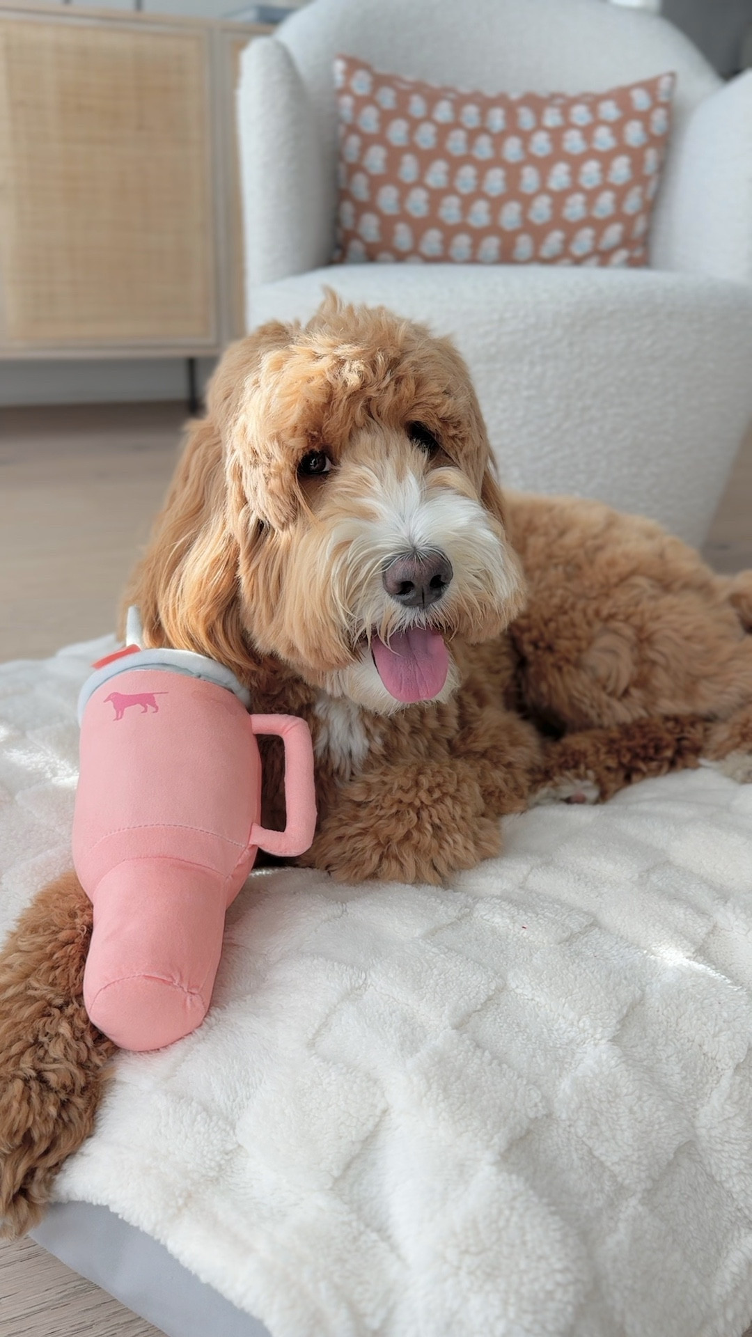 Dog mama and pup matching Stanley cups, drinkware, dog toys 

#LTKHome #LTKVideo