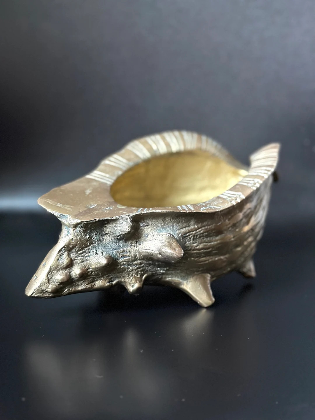 Vintage Mid Century Hollywood Regency Solid Brass Conch Shell Planter  - Etsy | Etsy (US)