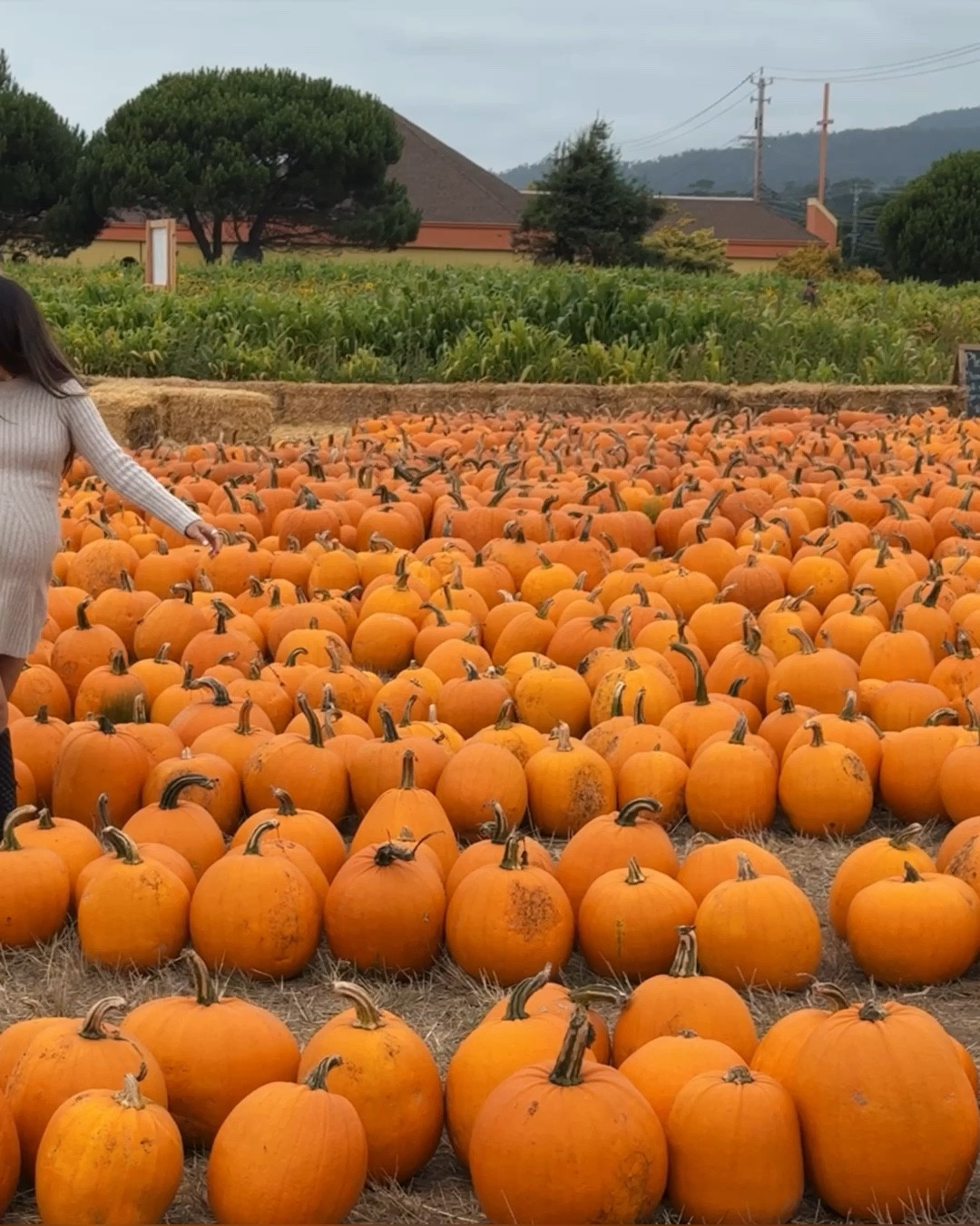 Love a good ribbed knit dress for fall. 🎃 

Hm outfit, fall fashion, hm fall, hm fashion

#LTKfindsunder50 #LTKSeasonal #LTKVideo