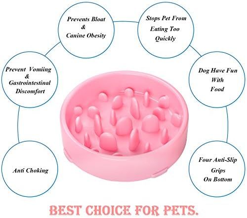 JASGOOD Dog Feeder Slow Eating Pet Bowl Eco-Friendly Durable Non-Toxic Preventing Choking Healthy De | Amazon (US)