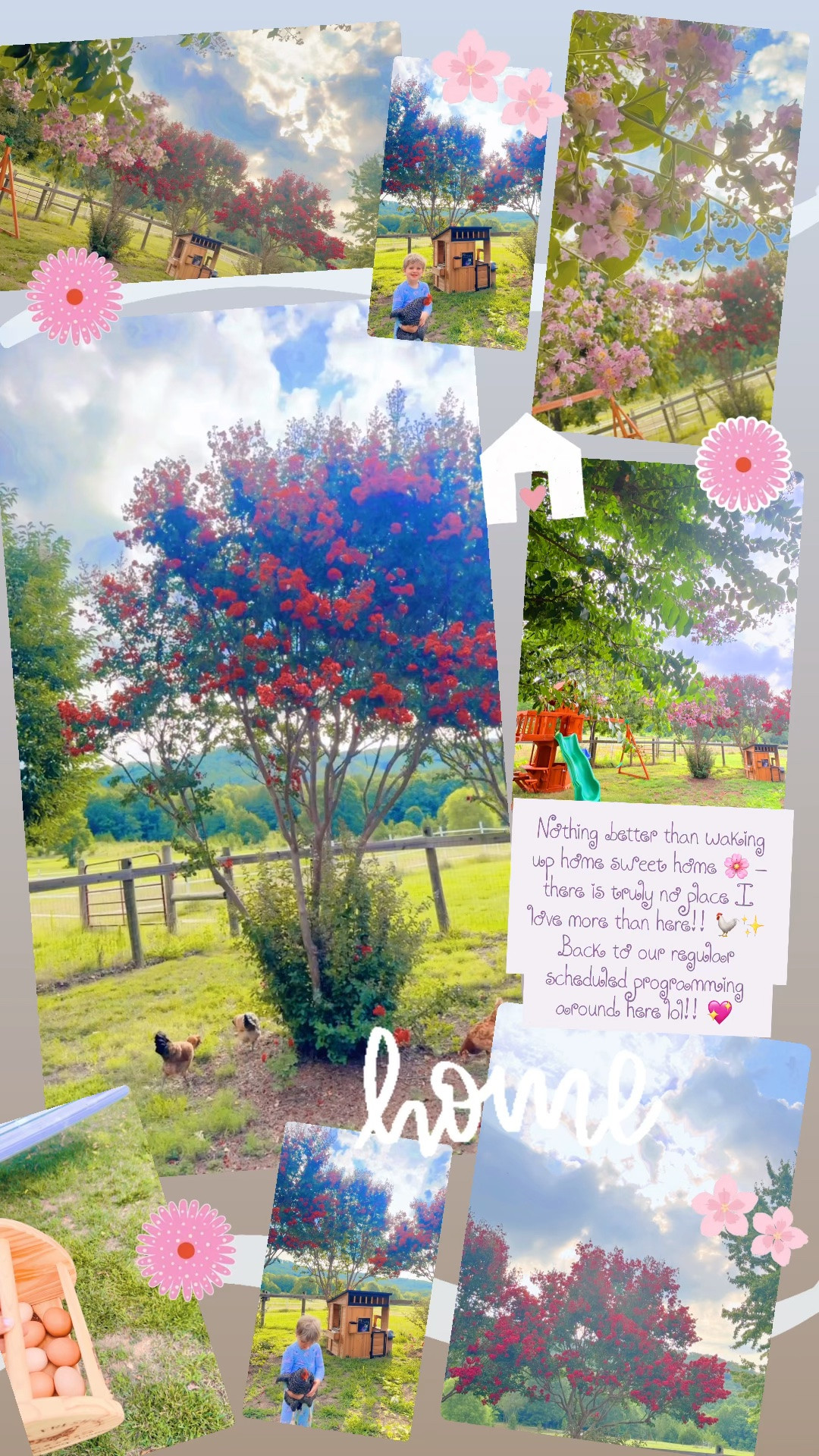 Nothing better than waking up home sweet home 🌸 - there is truly no place I love more than here!! 🐓✨ Back to our regular scheduled programming around here lol!! 💖