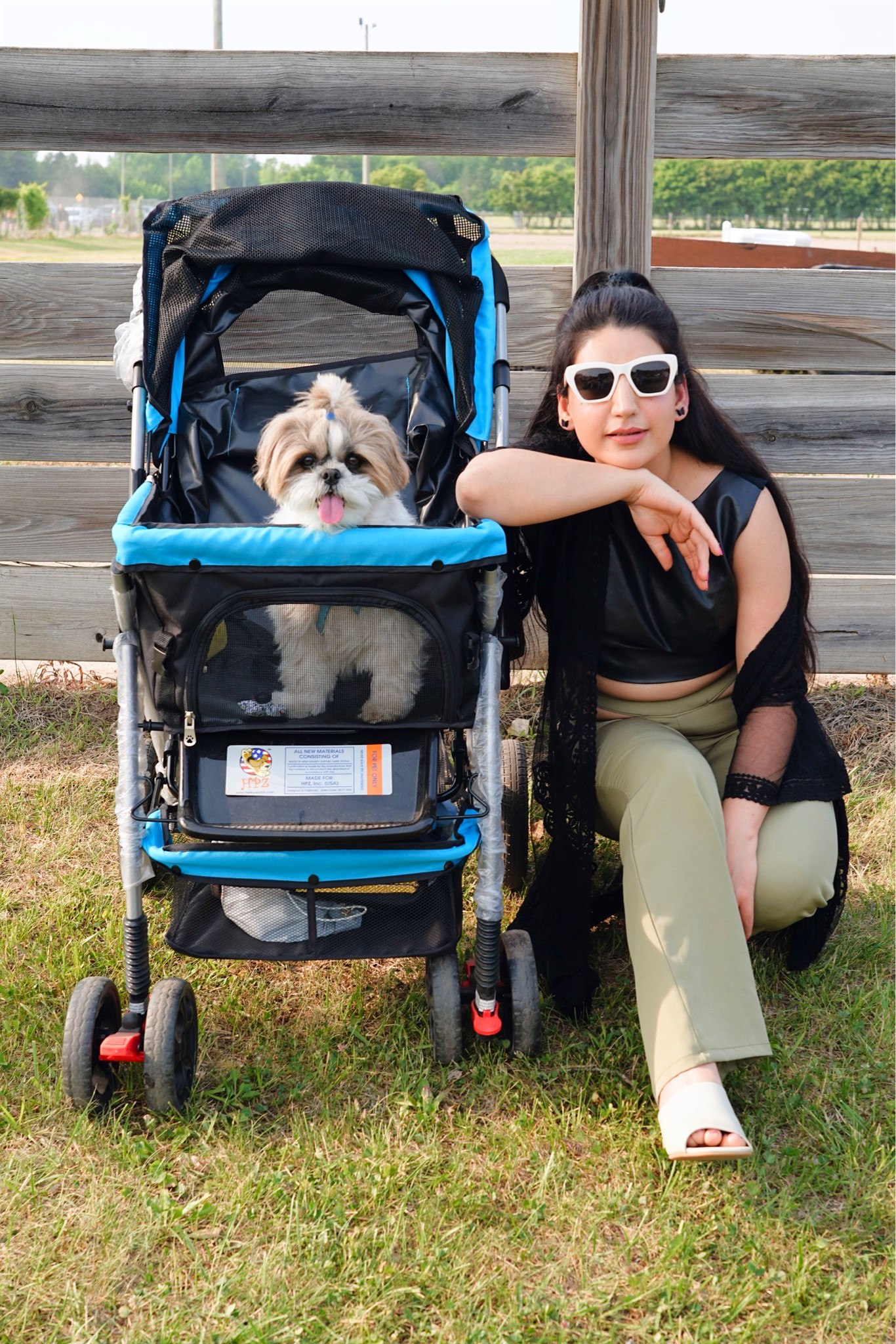 Dog stroller

#LTKfamily #LTKtravel #LTKFind