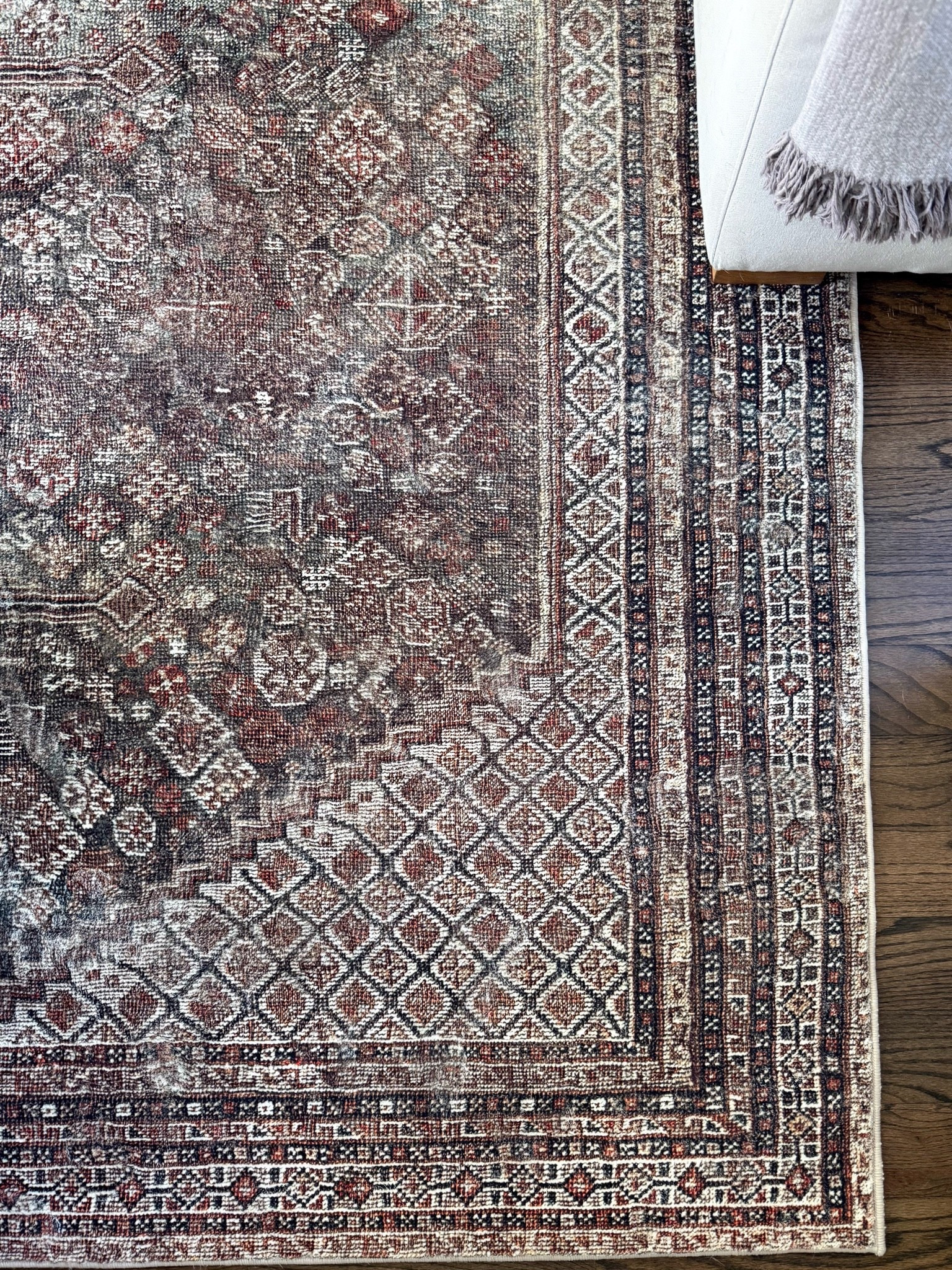This rug has the prettiest mix of rich burgundy, muted blue, and warm neutral tones. I love the vintage-inspired pattern and how it adds character to a room while still feeling classic. Such a beautiful choice for bringing warmth into a living room or bedroom for fall.

vintage inspired rug, burgundy area rug, traditional area rug, patterned rug, living room rug, bedroom rug, fall home decor, muted blue rug, warm neutral decor, classic home design, timeless interiors, girlonthehudson