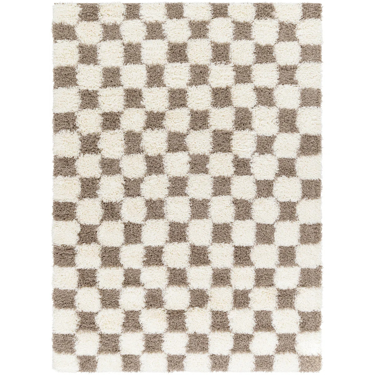 Haefner Checkered Indoor Rug | Wayfair North America
