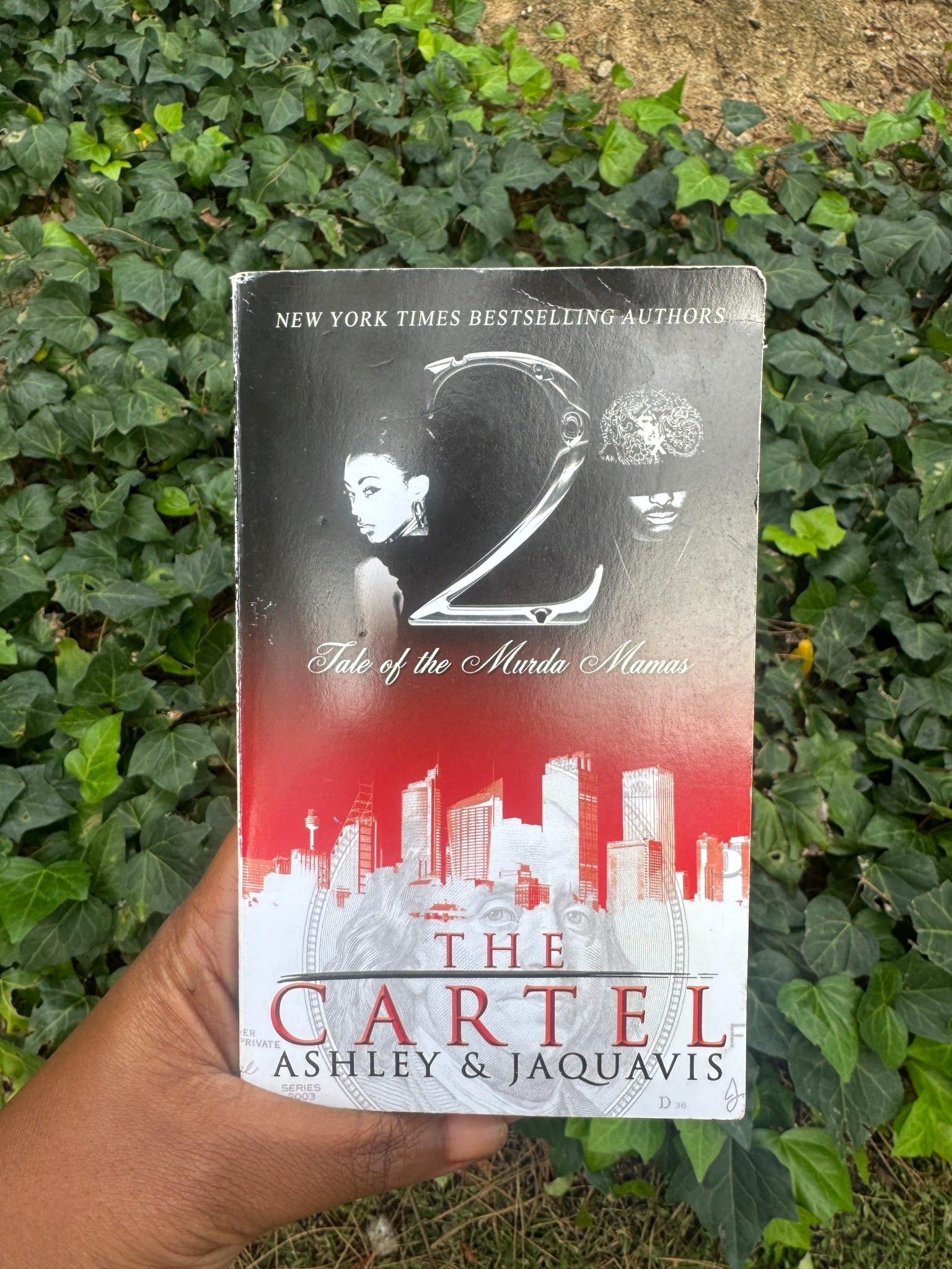 The Cartel #2 

#LTKGiftGuide #LTKstorytime #LTKFindsUnder50