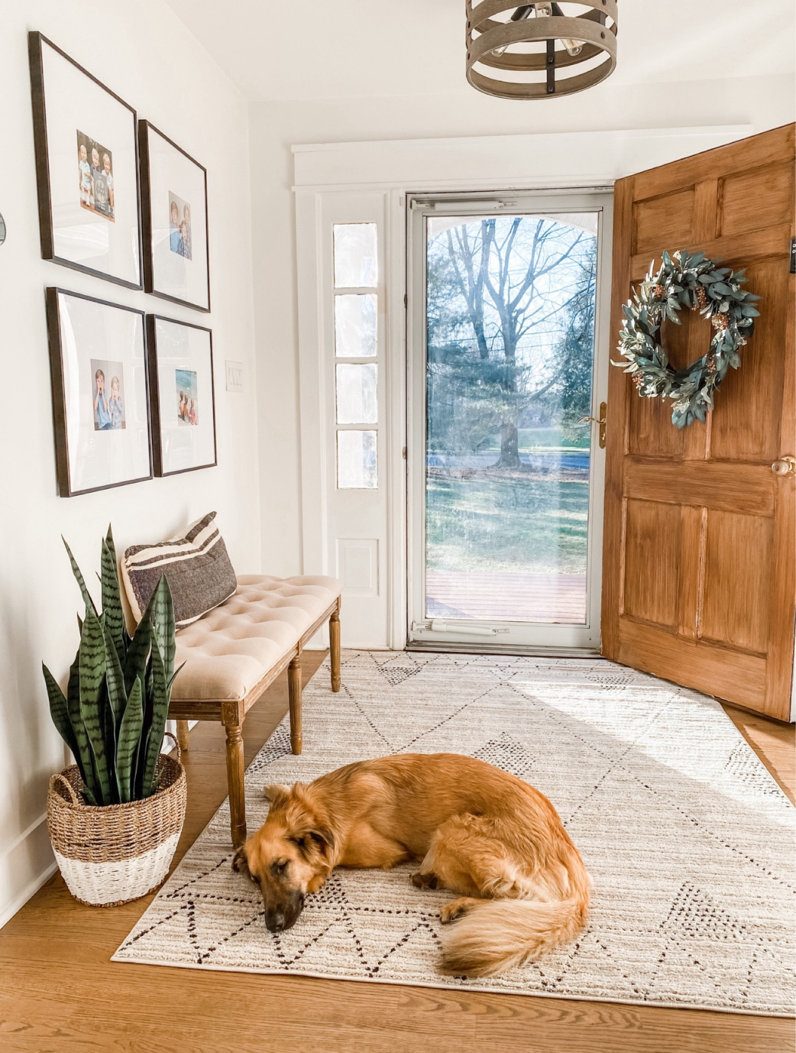 My foyer! Simple yet clearly cozy! 🤣 

#LTKFindsUnder100 #LTKHome #LTKStyleTip