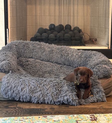 Our favorite dog bed cover makes the dog bed so soft and easy to wash! 🐾

#LTKfamily #LTKhome