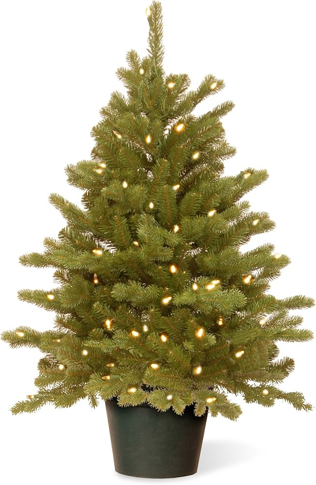 National Tree Company 'Feel Real' Artificial Christmas Tree For Entrances| Includes White Lights ... | Amazon (US)