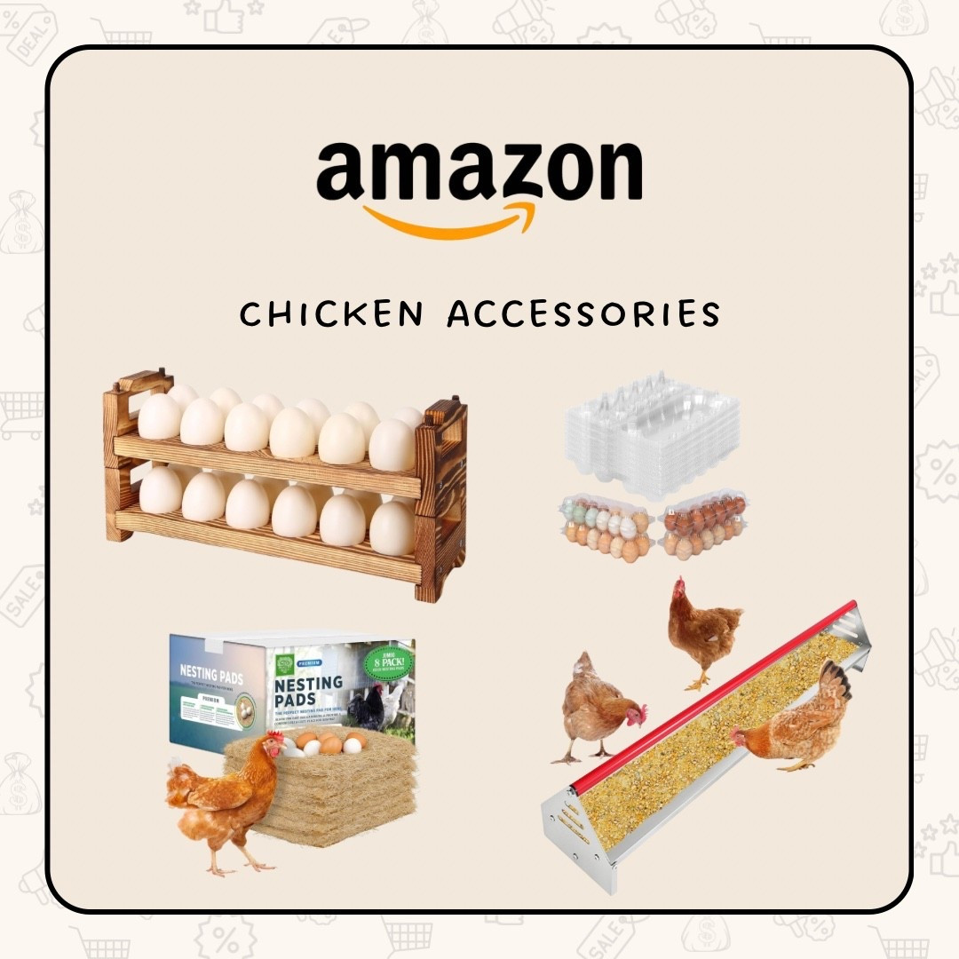Chicken accessories!

#LTKFindsUnder100 #LTKHome #LTKFamily