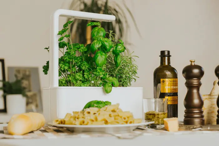 Click & Grow | Nordstrom