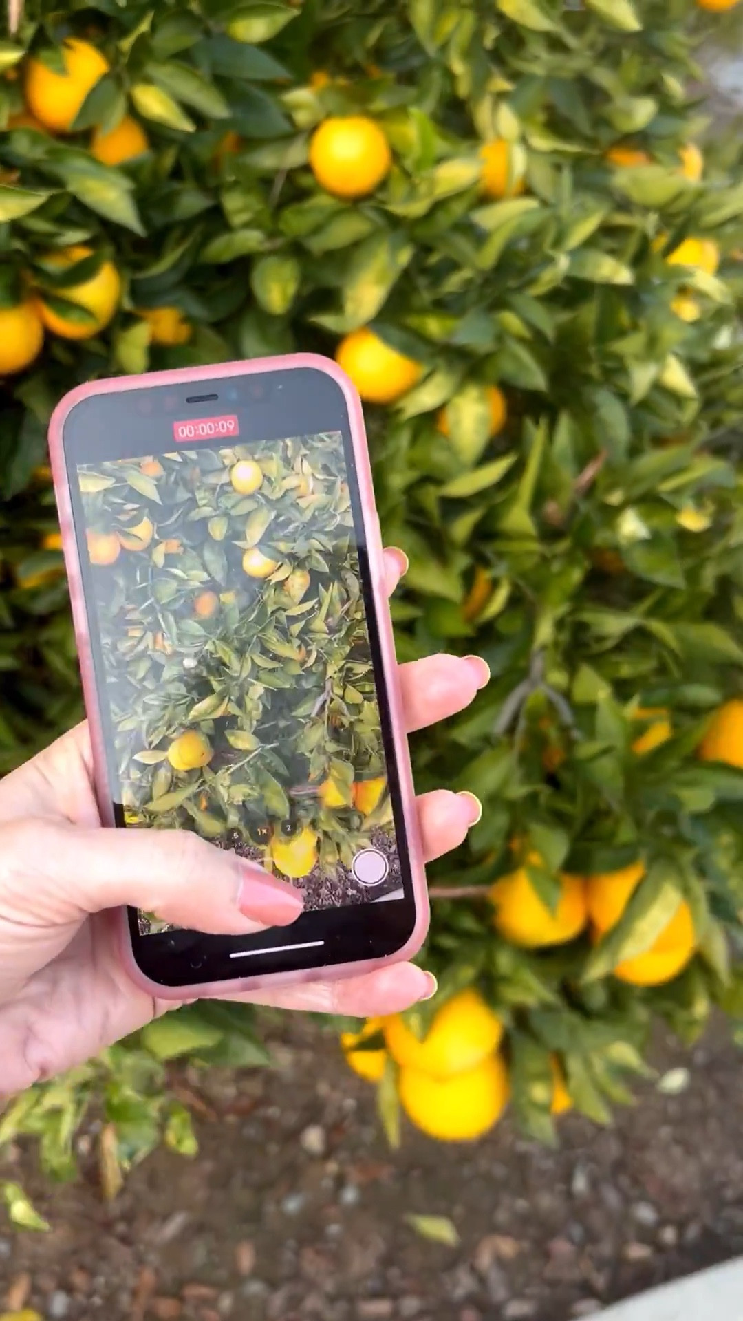 Loving this new phone case from Loopy 🙌❤️🎉 It has an amazing loop on the back of the case which makes it secure for taking videos, selfie’s and more!! 💃🏻🎉 this would make a great gift too! ❤️💚 #stopthedrop

#LTKstorytime #LTKFindsUnder100 #LTKGiftGuide