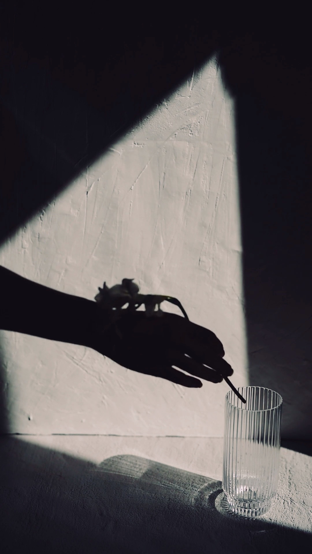 My suggestions for simple elegance are linked. Quiet luxury isn’t always expensive but you do get what you pay for.,

#home #guests #party #hosts #decor #christmas #interiors #elegance #commentsbyfans❤️

#LTKVideo #LTKHome #LTKStyleTip