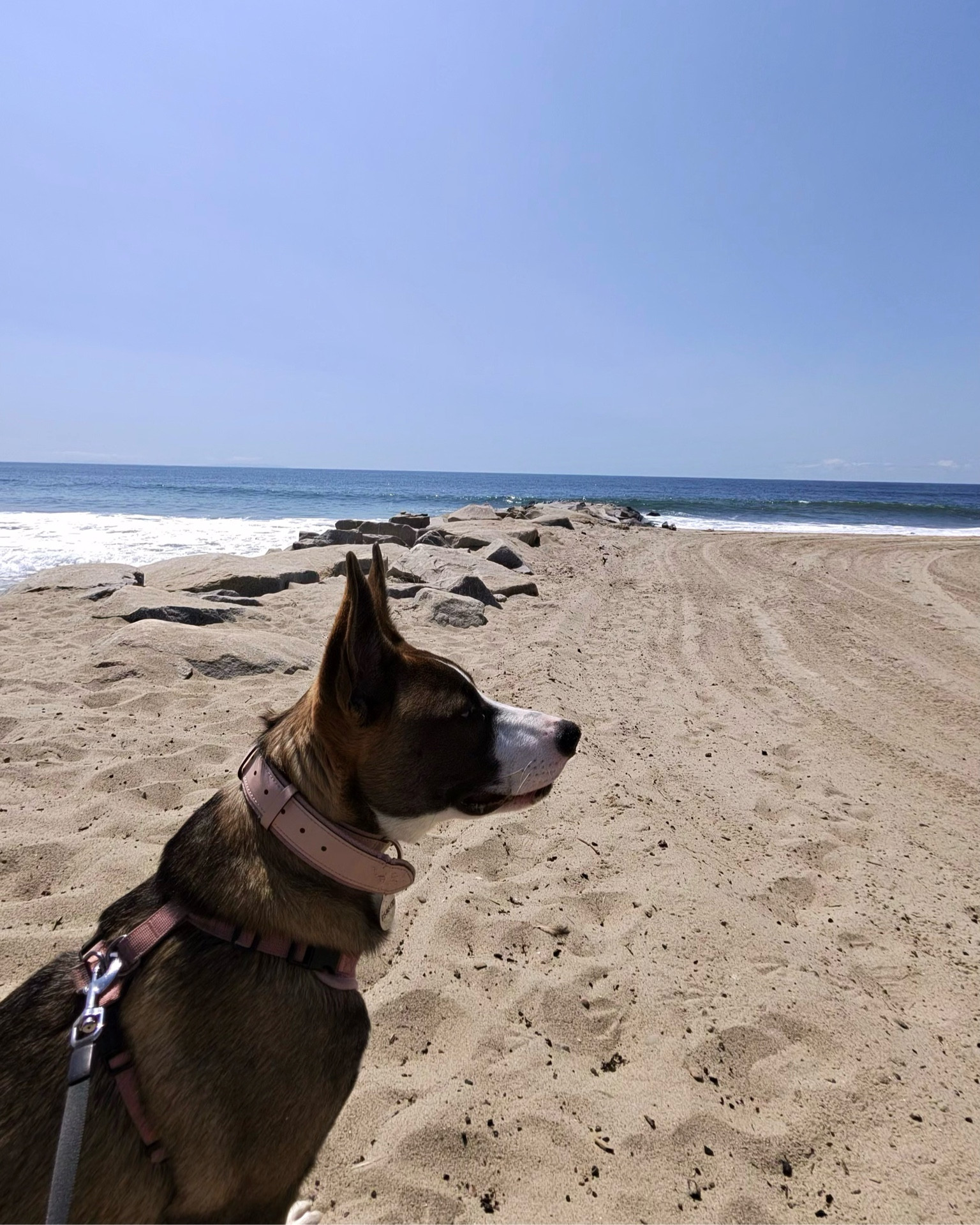 captured on my @raybanmeta glasses !!! many more beach days to come 🫶🏼 shop them at @target and never miss a moment! #ad #TargetStyle #RayBanMeta #TargetPartner #Target