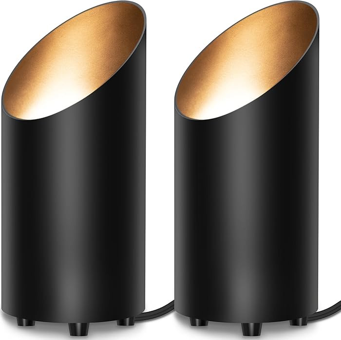 SUNVIE 2 Pack Up Lights Indoor Floor Can Light Uplighting Indoor Spotlight with 2700K GU10 Bulb A... | Amazon (US)