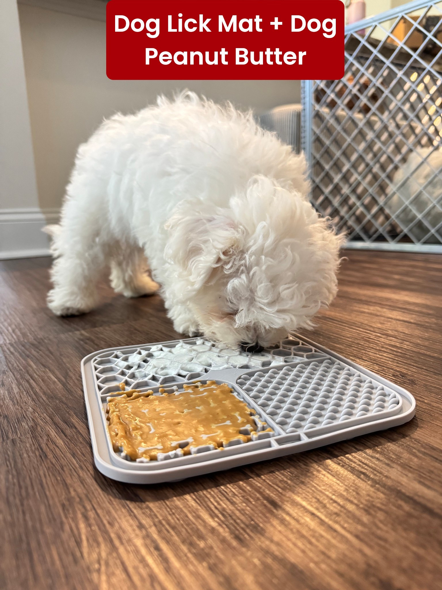 Dog lick mat with Greek yogurt and dog peanut butter!

Dogs, Christmas gifts 

#LTKmomlife #LTKHoliday #LTKGiftGuide