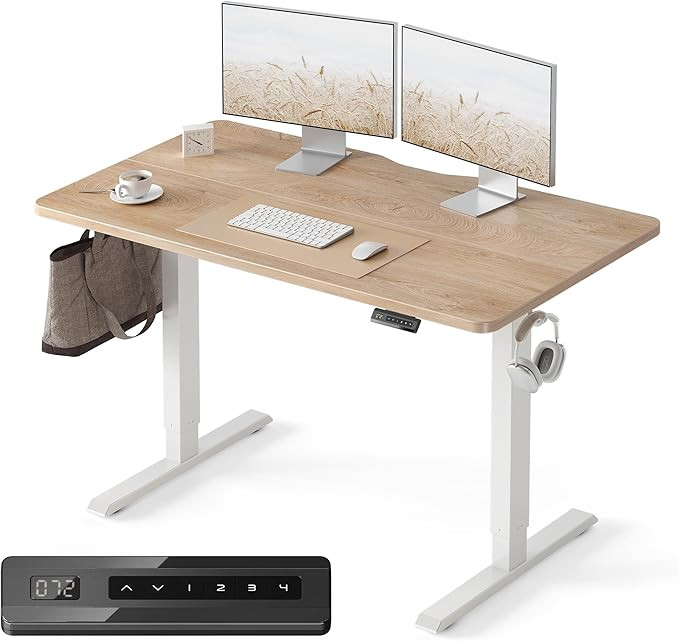 FEZIBO Standing Desk, 48 × 24 Inches Electric Height Adjustable, Sit and Stand Up, Computer Offi... | Amazon (US)