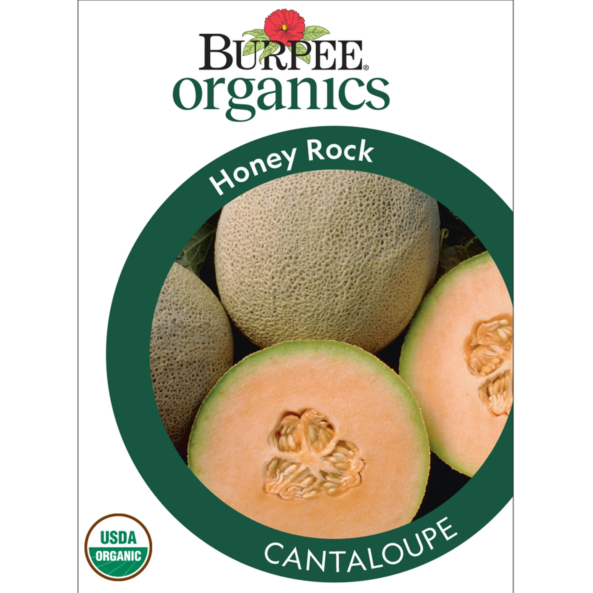 Burpee Organic Honey Rock Cantaloupe Vegetable, Annual Seed, Full Sun | Walmart (US)