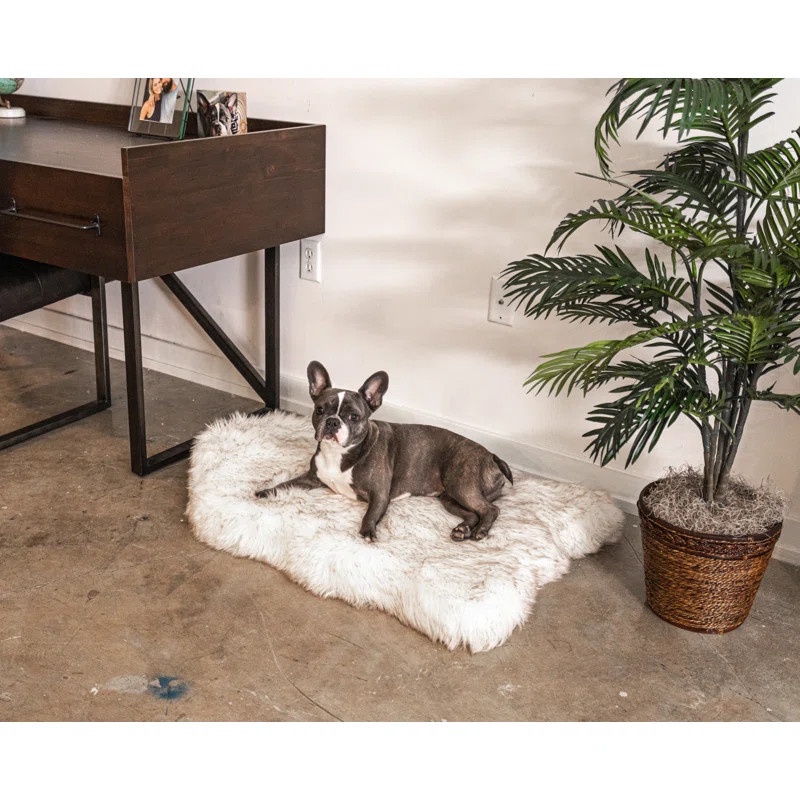 Potrero Puprug Faux Fur Orthopedic Dog Mat | Wayfair North America
