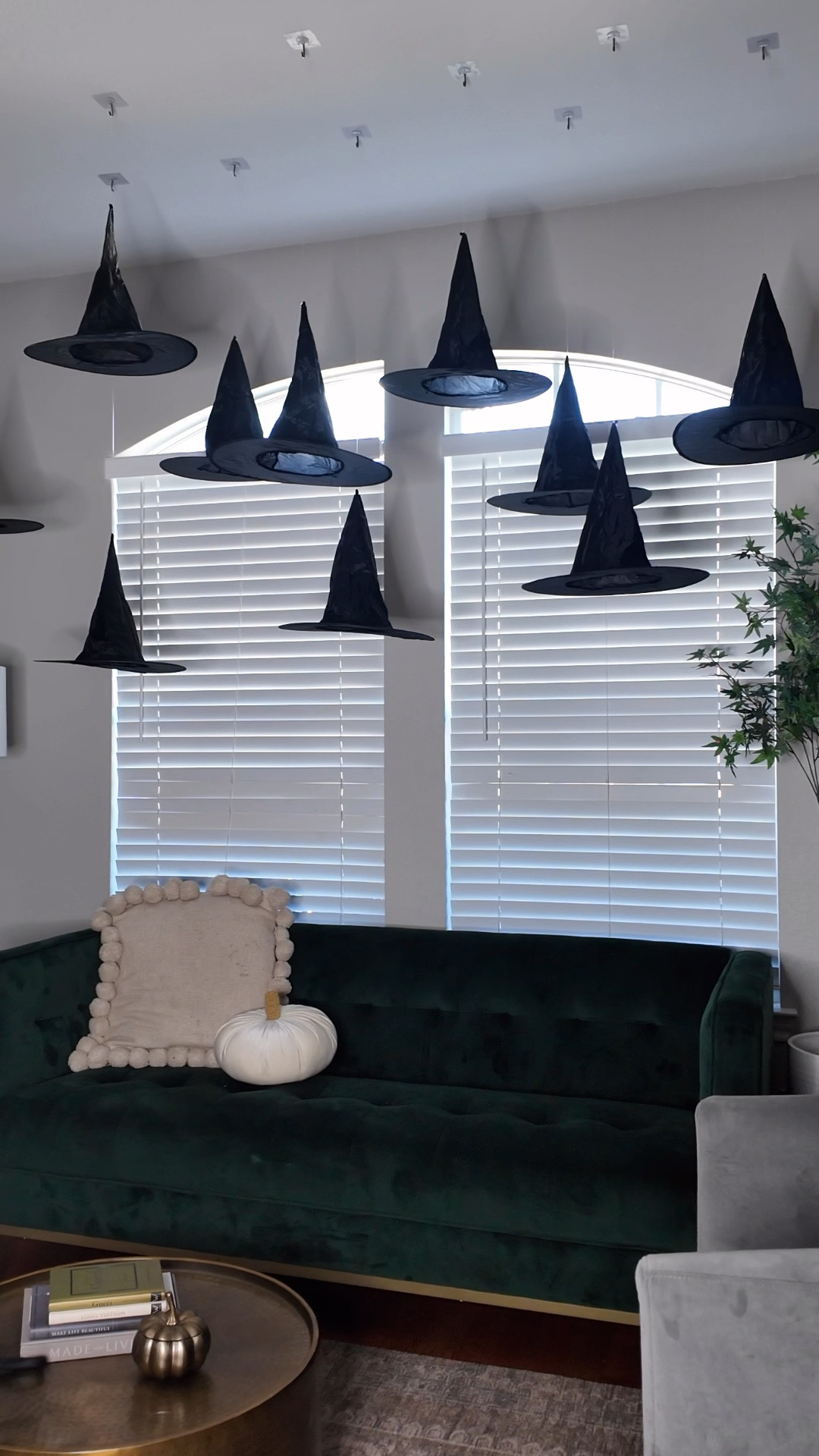 Super easy and elevated Halloween decor!🧙🏼‍♀️🍂🕷️🎃
 #halloween #halloweendecor #halloweendecorations #homedecor #dogcostume #target 

#LTKHalloween #LTKFallSale #LTKVideo