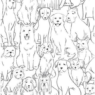 8 in. x 10 in. Black and White Paws On Peel and Stick Wallpaper Sample | The Home Depot