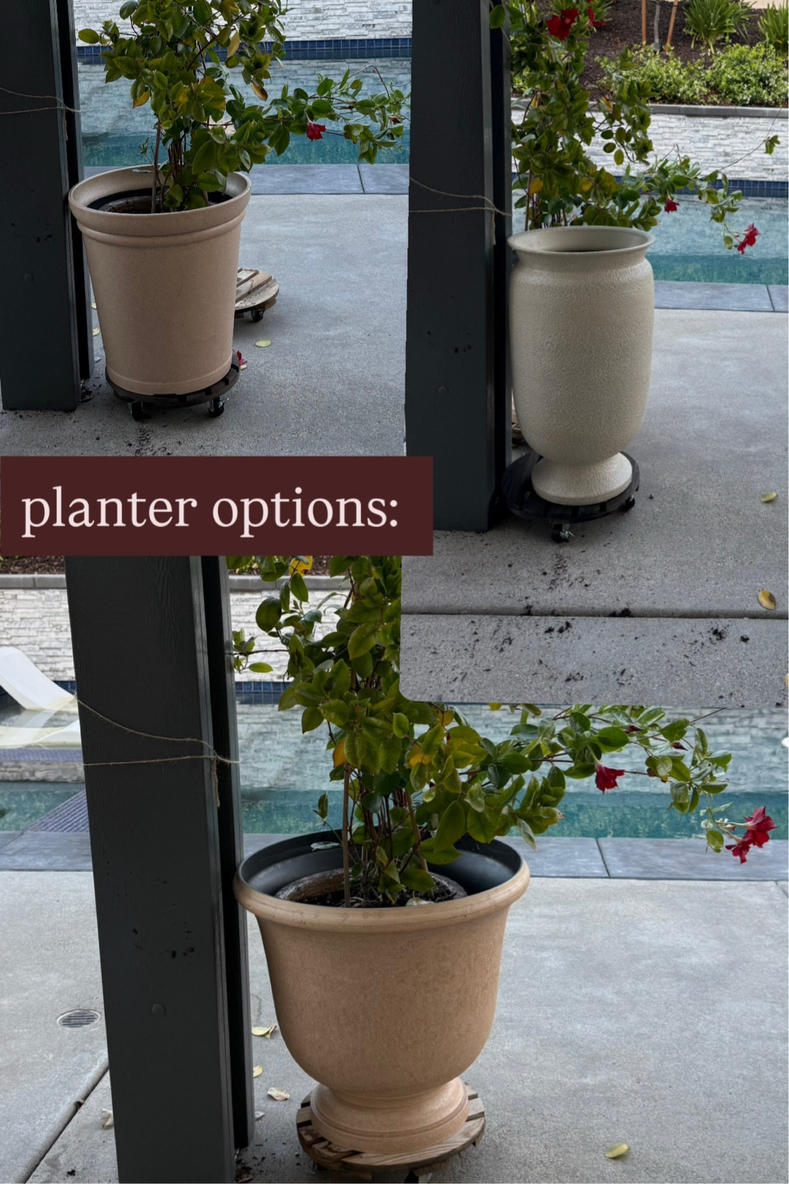 affordable large patio planters

large pots for outdoors 


#LTKHome #LTKdayinmylife #LTKSeasonal