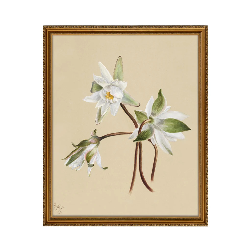 Water Lily - Unframed Art Print | Monika Hibbs Home