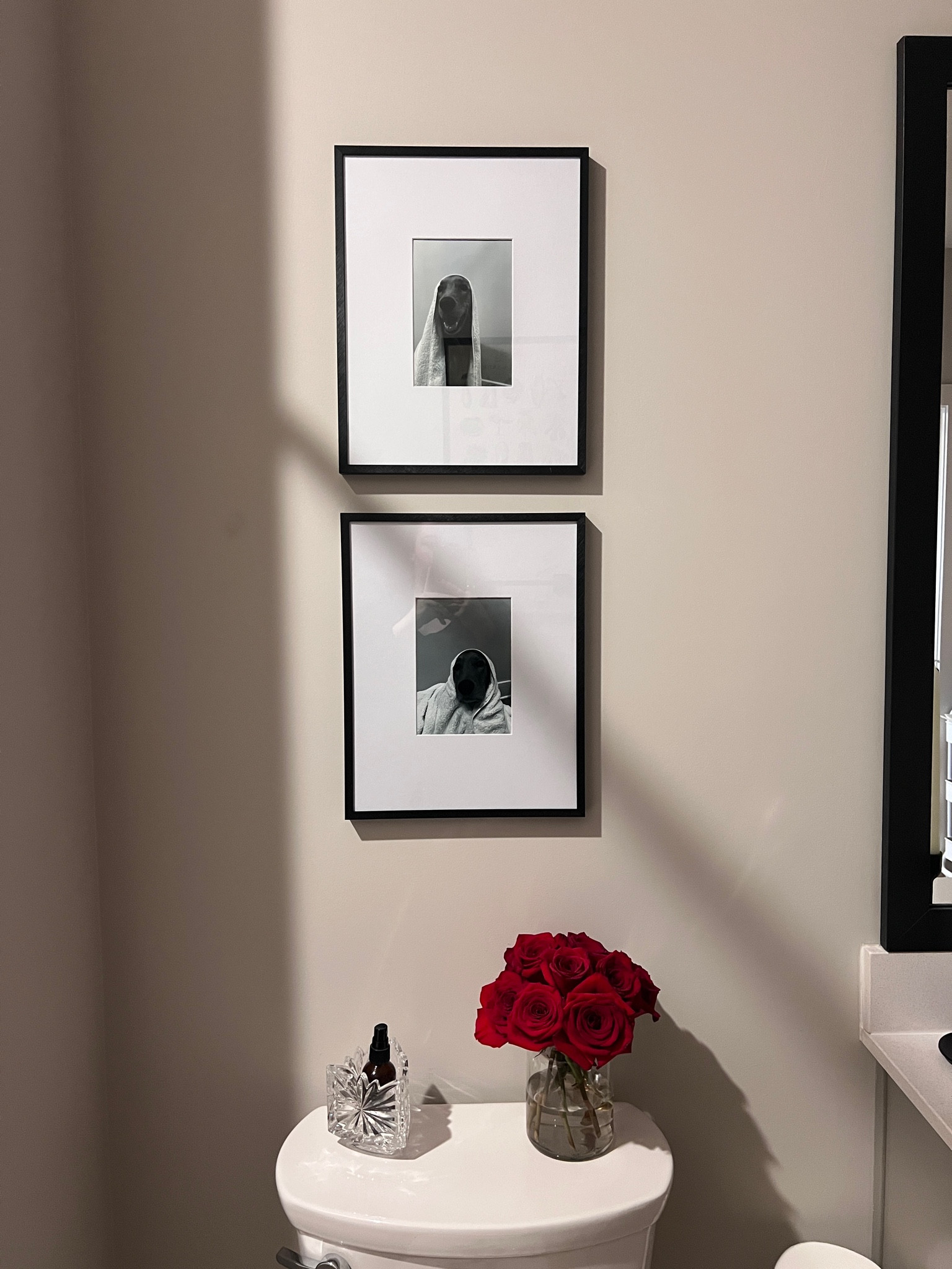 My favorite frames from target!! I loved this diy for the bathroom Olive 🐾 is just the best.  

#LTKHome #LTKFindsUnder50 #LTKWatchNow