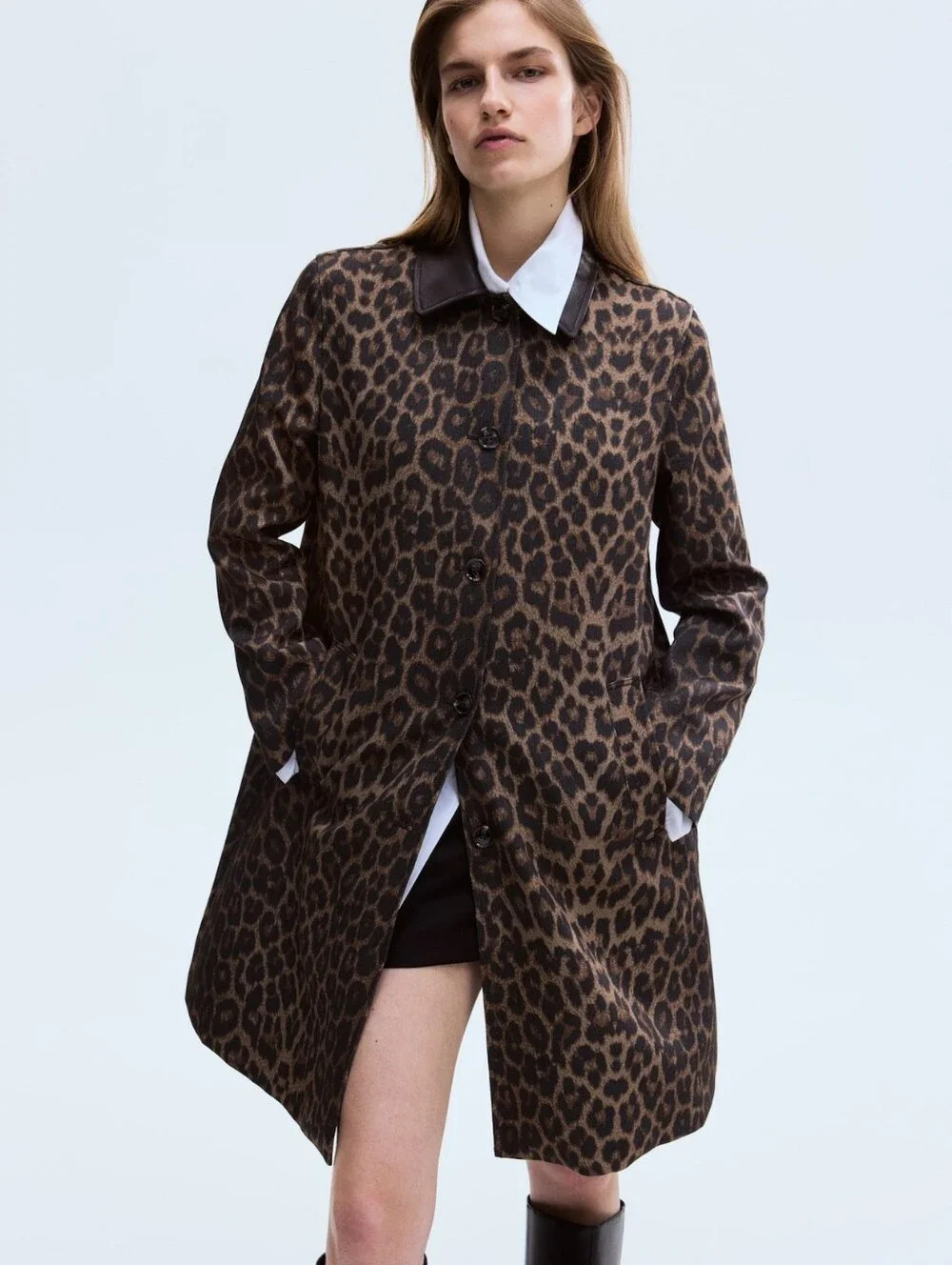 H&M Twill Car Coat Leopard Prints Brown Bnwt | Poshmark
