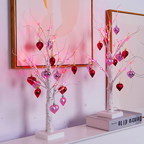 2Pack Valentines Day Decor Lighted Birch Tree with Heart-Shaped Ornaments,USB&Battery Operated Light Up Artificial Tree for Home Indoor Party Valentines Day Decorations (Red + Pink) | Amazon (US)