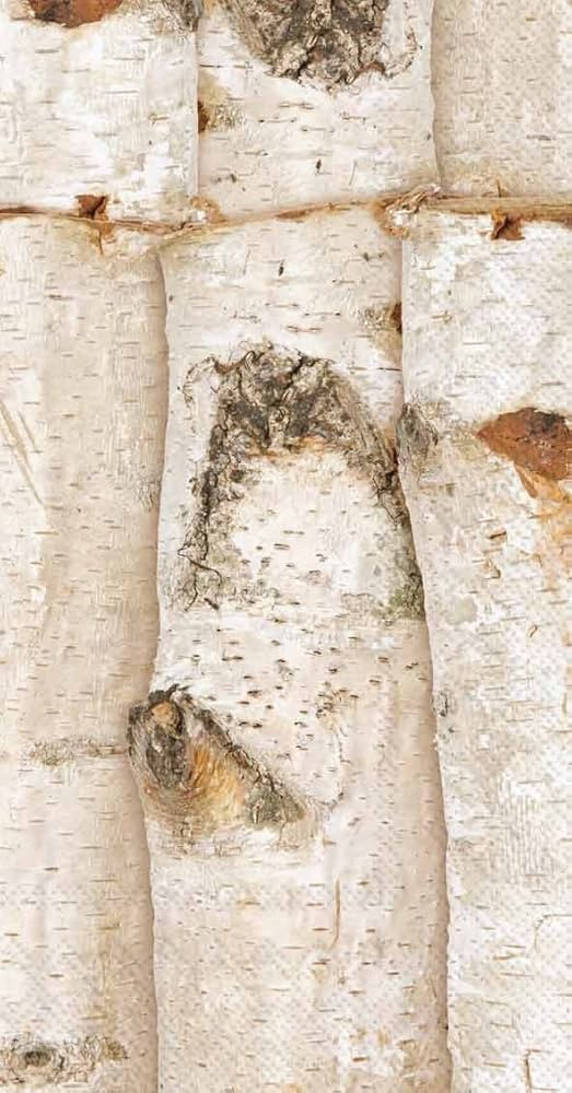 Ideal Home Range 16 Count Banquet Napkins, Birch | Amazon (US)