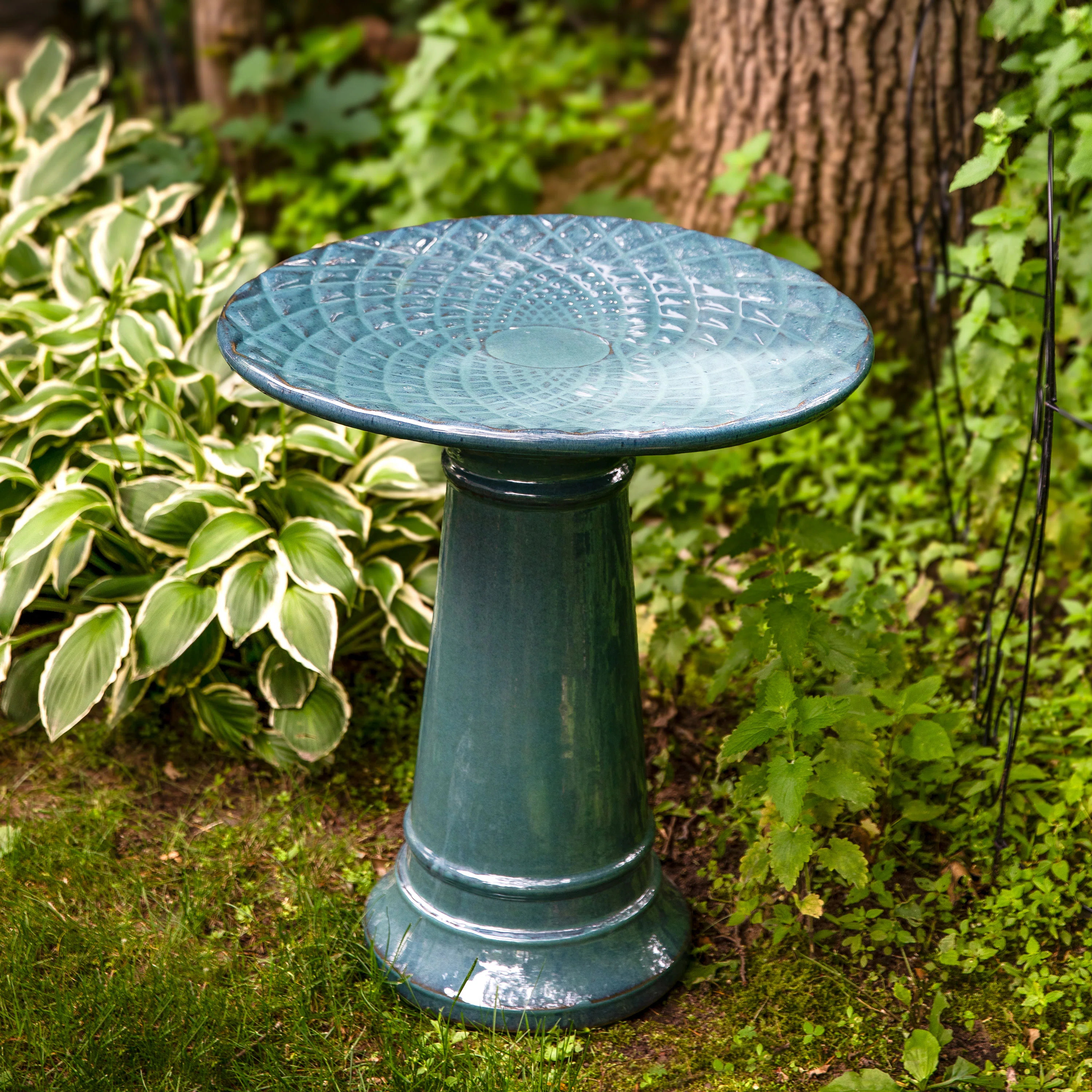 Trayquan Freestanding Ceramic Outdoor Bird Bath with UV-Resistant Turquoise Finish | Wayfair North America