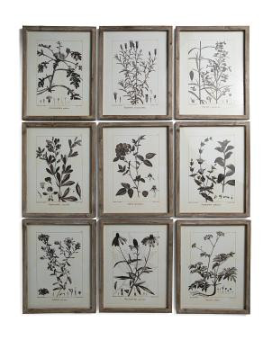 9pc 14x17 Rustic Foliage Study Wall Art Set | TJ Maxx