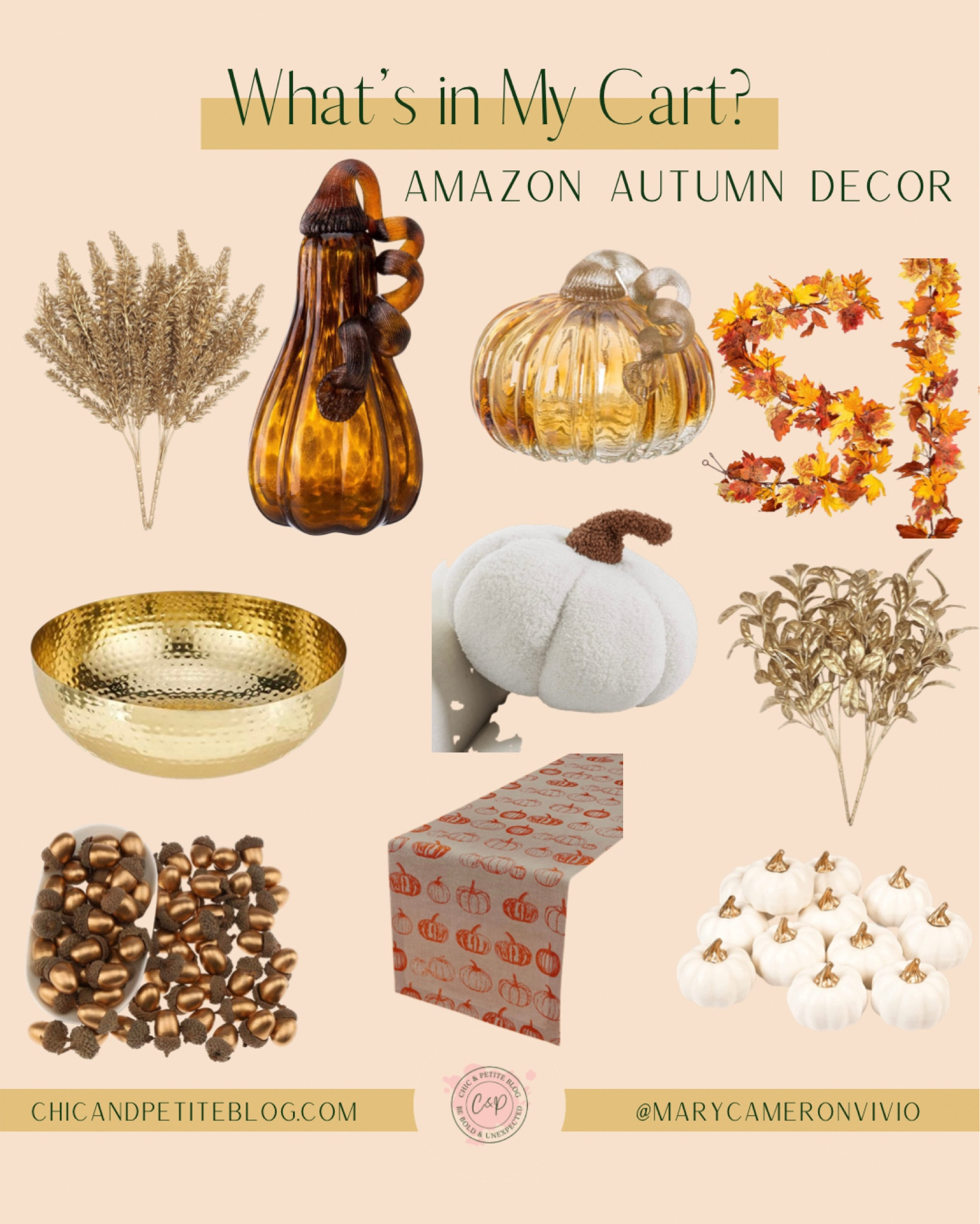 Amazon Fall Decor

Autumn Decor, Amazon Prime

#LTKunder50 #LTKSeasonal #LTKunder100