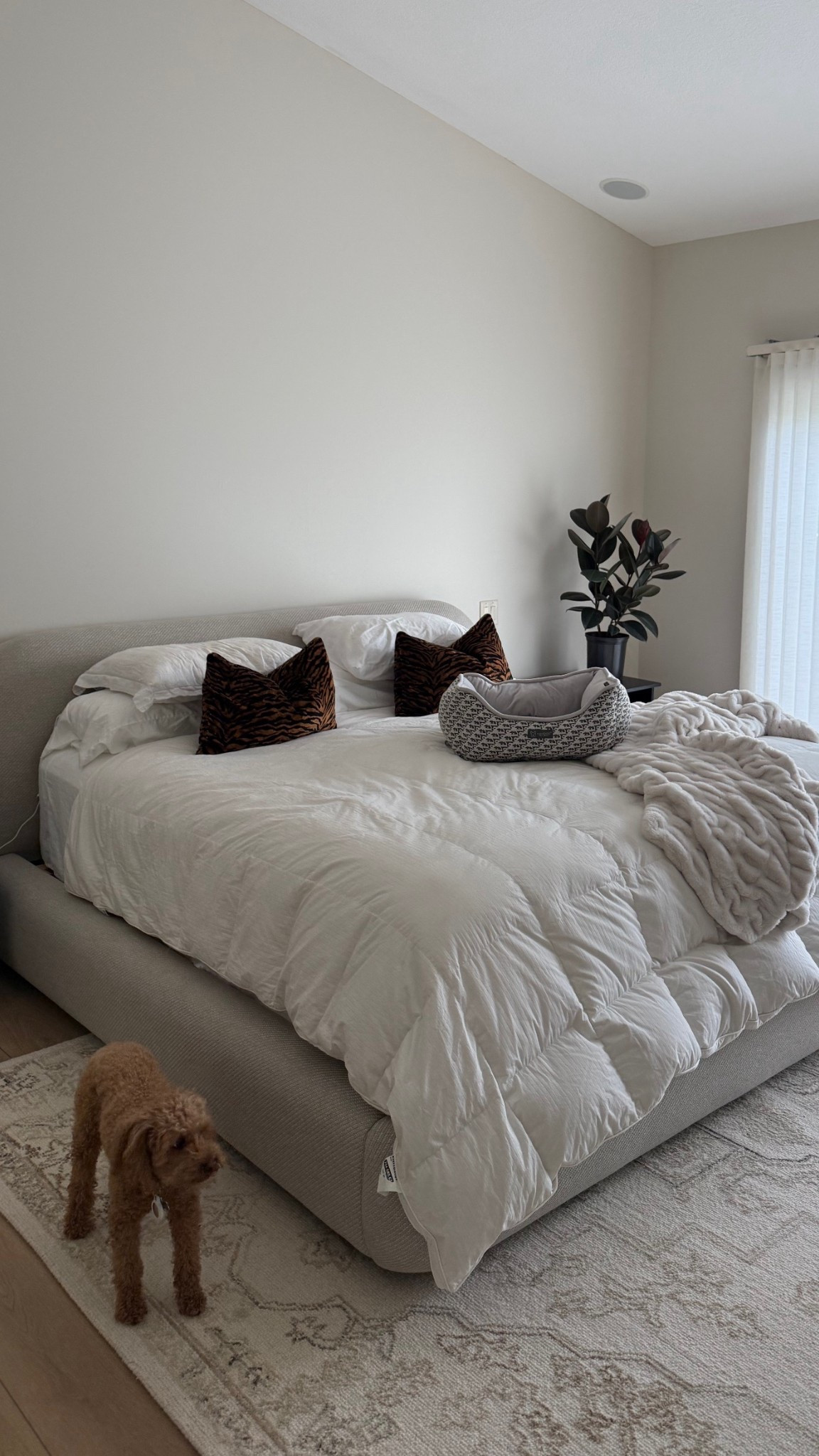 West elm bed  ☁️ 

#LTKHome