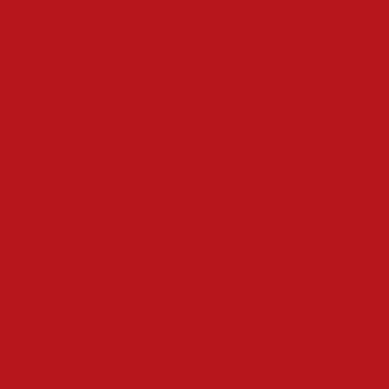 Waverly Inspirations 1 Yard Cut 100% Cotton Solid Fabric, Poppy, 44" Wide for Quilting & Sewing | Walmart (US)
